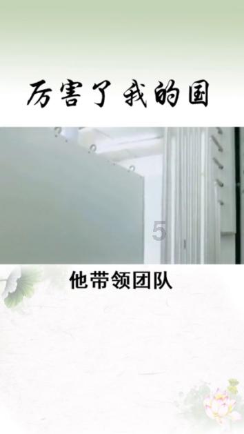 疯狂的小偷