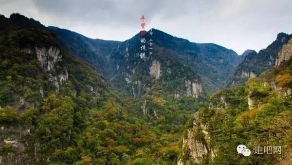 它是天然“阿司匹林”,专清血管垃圾,软化血管,悄悄逼走血栓